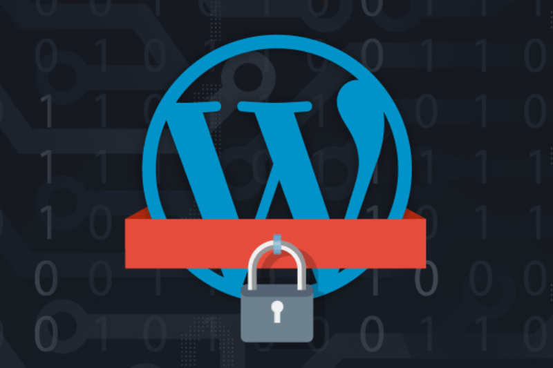 Image showing the WordPress logo with a lock symbol with a the background image showing the numbers "0" and "1"